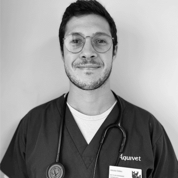 Dr. Vet Dubès, Assistant en cardiologie au CHV Aquivet (près de Bordeaux)