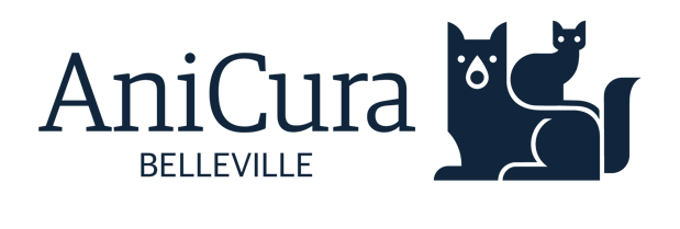 Clinique de Belleville logo