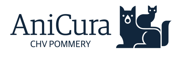 CHV Pommery logo