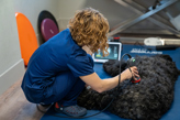 Dr. Vet. Jacquemin Bietrix vétérinaire en physiothérapie et rééducation fonctionnelle à la clinique vétérinaire AniCura TRIOVet à Rennes