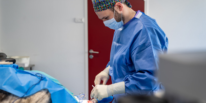 Dr. Vet. Alexandre Caron spécialiste en chirurgie à la clinique AniCura TRIOVet à Rennes