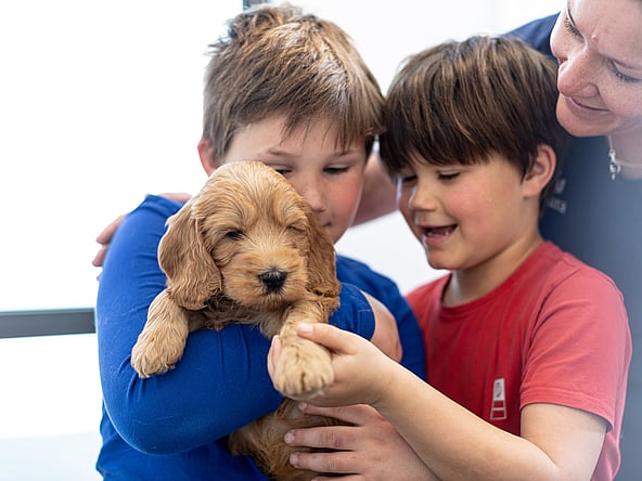 Un groupe d’enfants tenant un chiot.