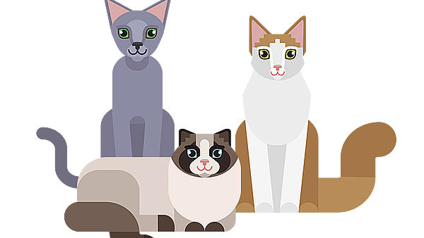 Un groupe de chats assis ensemble.
