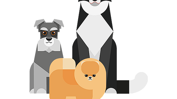 Un groupe de chiens et un chien.