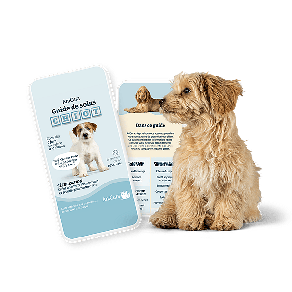 Un chien assis à côté d’une carte.