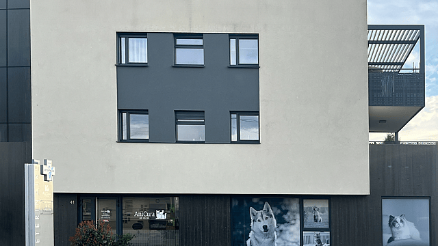 Un immeuble avec un chien à la fenêtre.