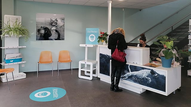 Une personne debout à un bureau dans une pièce avec des chaises et des escaliers.