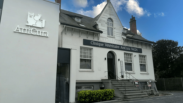 Un bâtiment blanc avec un chat sur le côté.