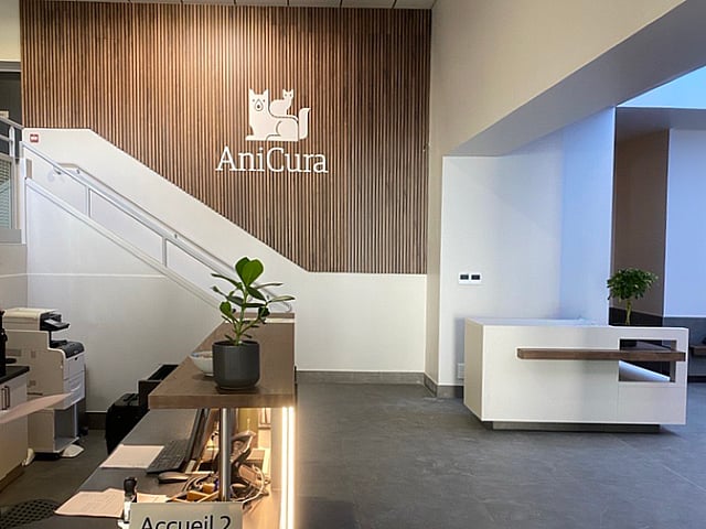 Un bureau en blanc et bois avec un escalier et une plante.