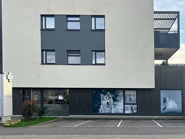 Un immeuble avec un chien à la fenêtre.