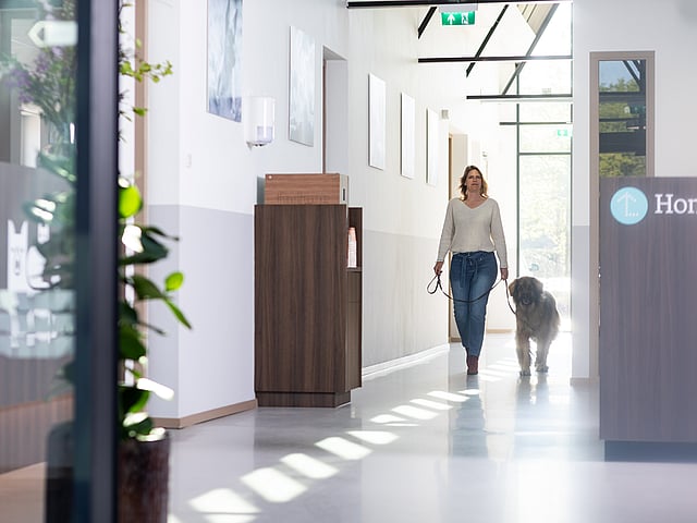 Une personne promenant un chien dans un couloir.