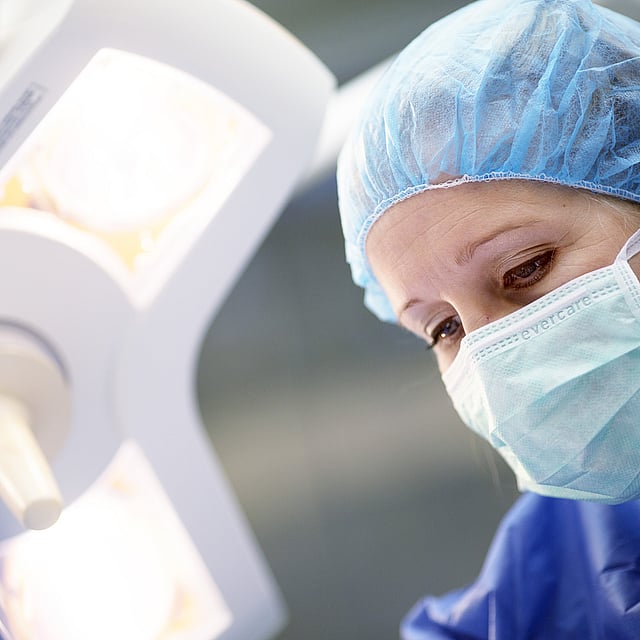 Endodontie chez le chien