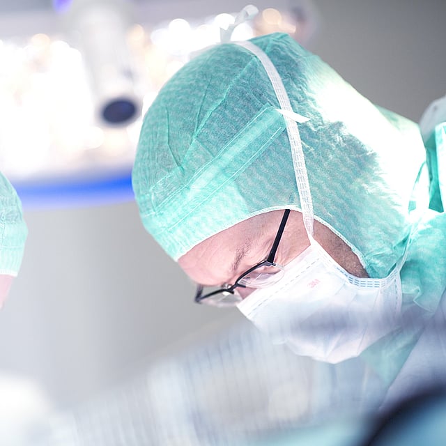 Chirurgie abdominale chez le chien