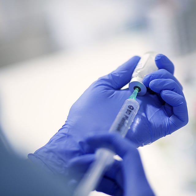 Injections articulaires chez le chien