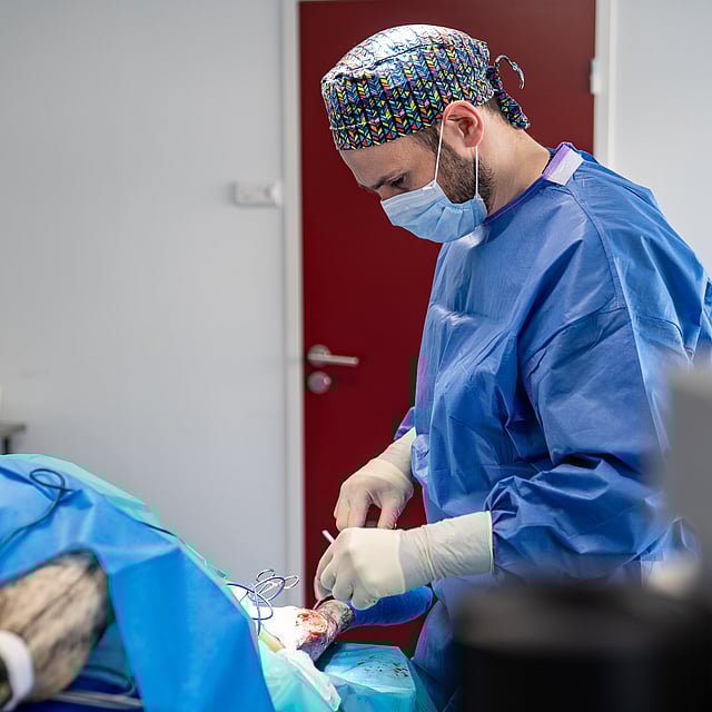 Service de chirurgie vétérinaire à la clinique AniCura TIROVet à Rennes