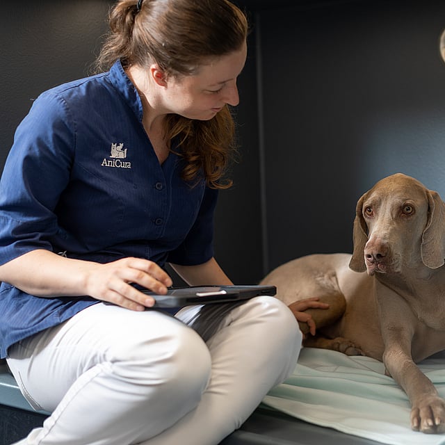 Une personne assise sur un lit avec un chien.