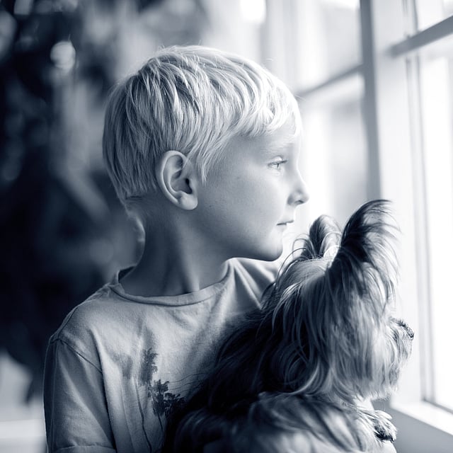 Tumeurs de l’estomac et de l’intestin chez le chien