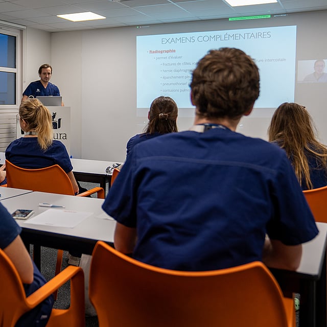 Internship des CHV AniCura Nordvet à La Madeleine près de Lille