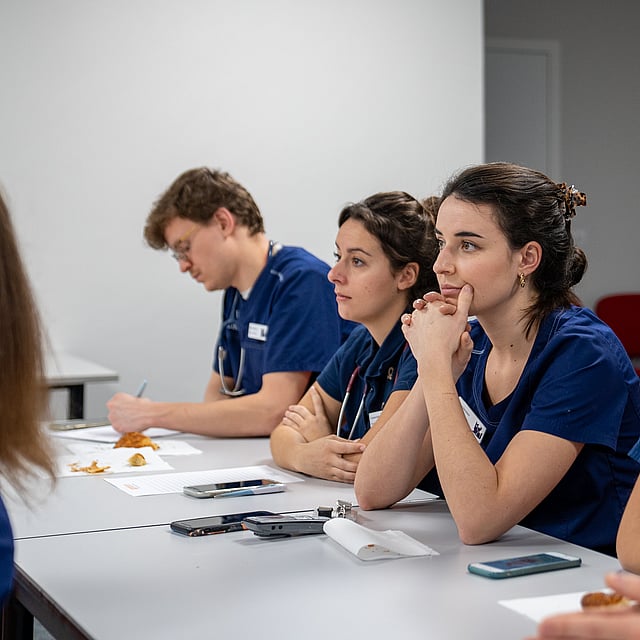 Formation vétérinaire au sein du CHV AniCura Nordvet à la Madeleine près de Lille