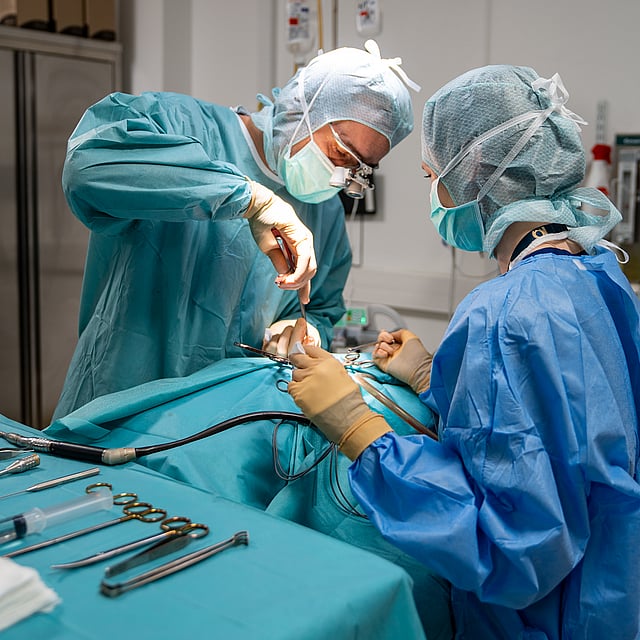 Service de chirurgie vétérinaire au CHV AniCura Nordvet à La Madeleine