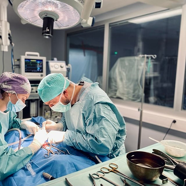 Service de chirurgie à la clinique vétérinaire AniCura Zebrasoma à strasbourg