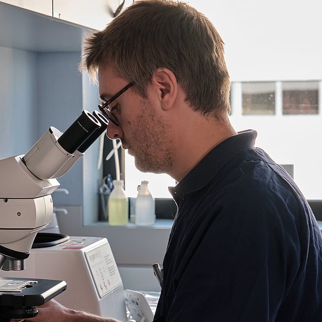 Service de neurologie vétérinaire clinique vétérinaire AniCura TRIOVet