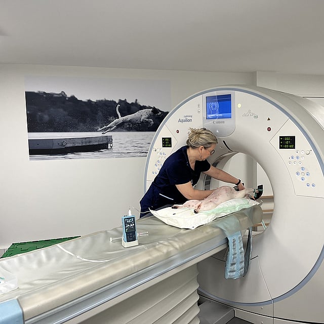 Une personne dans une salle médicale.