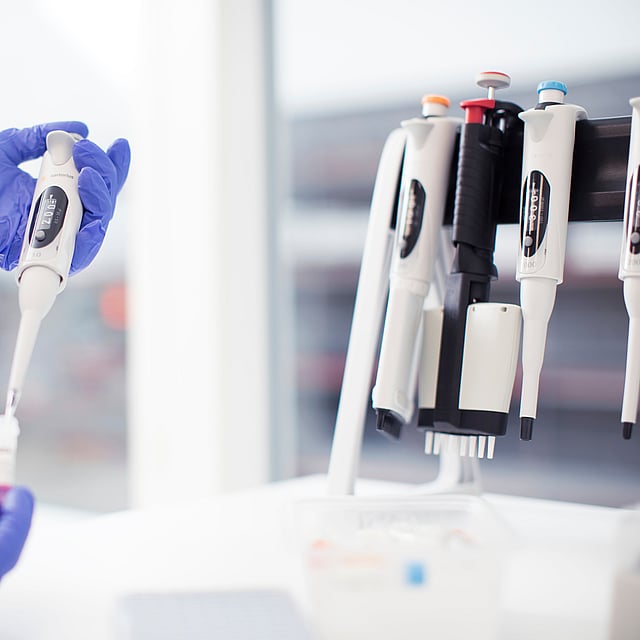 Service de laboratoire d'analyse médicale de la clinique AniCura Vet24 située à Marcq en Baroeul