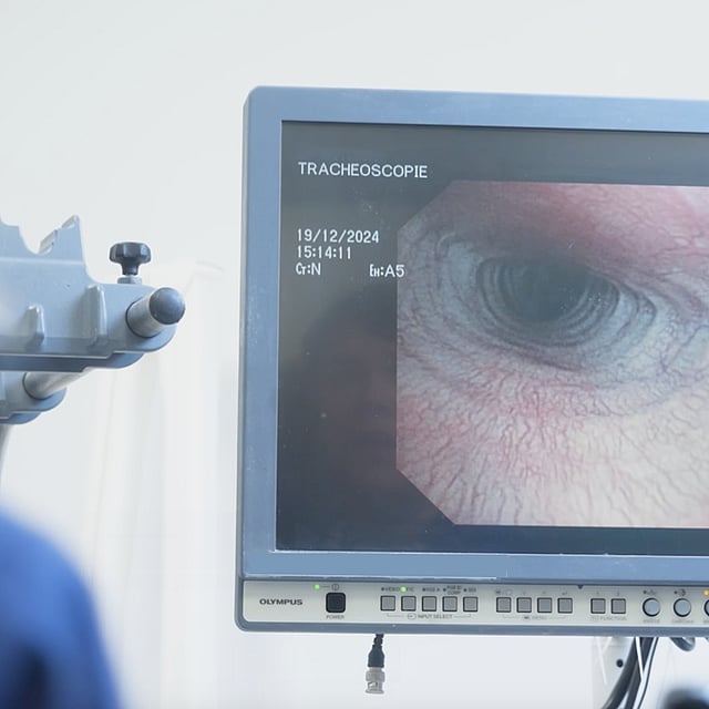 Service de médecine interne de la clinique AniCura Vet24 situé à marcq en baroeul près de Lille