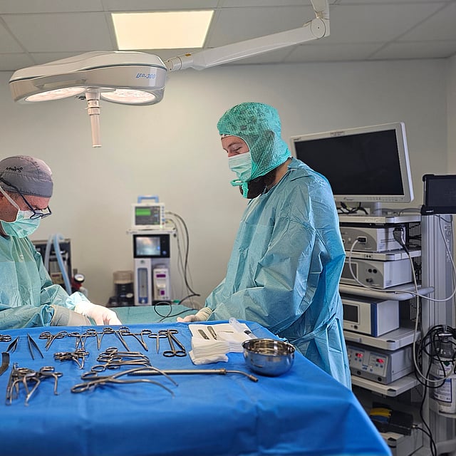 Le service de chirurgie vétérinaire de la clinique AniCura LorraineVet situé à Ludres près de Nancy