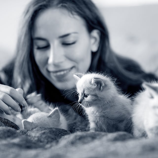 Une personne caressant des chatons.