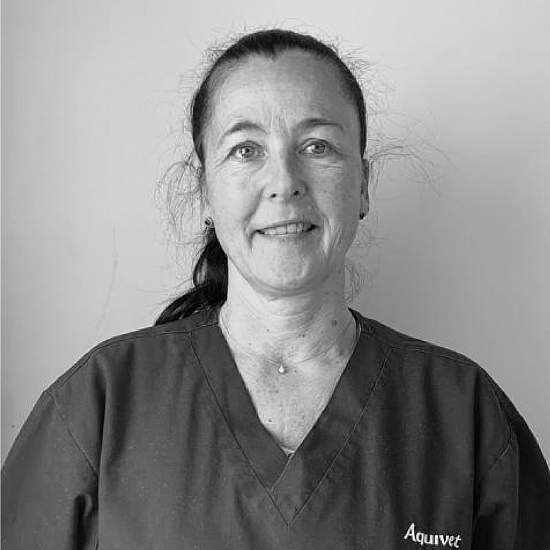 Photo de Dr. Vet. Schaum, Exercice Exclusif En Rééducation Fonctionnelle