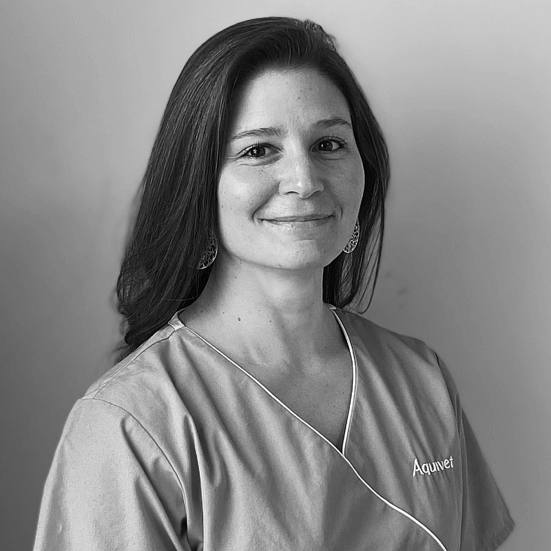 Photo de Emilie L, Asv Chirurgie
