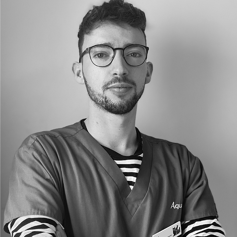 Photo de Axel H, Asv Chirurgie
