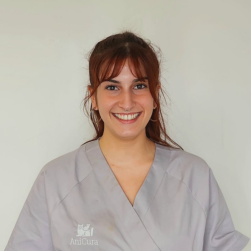 Photo de Dr. Vet. Barreto, Urgences