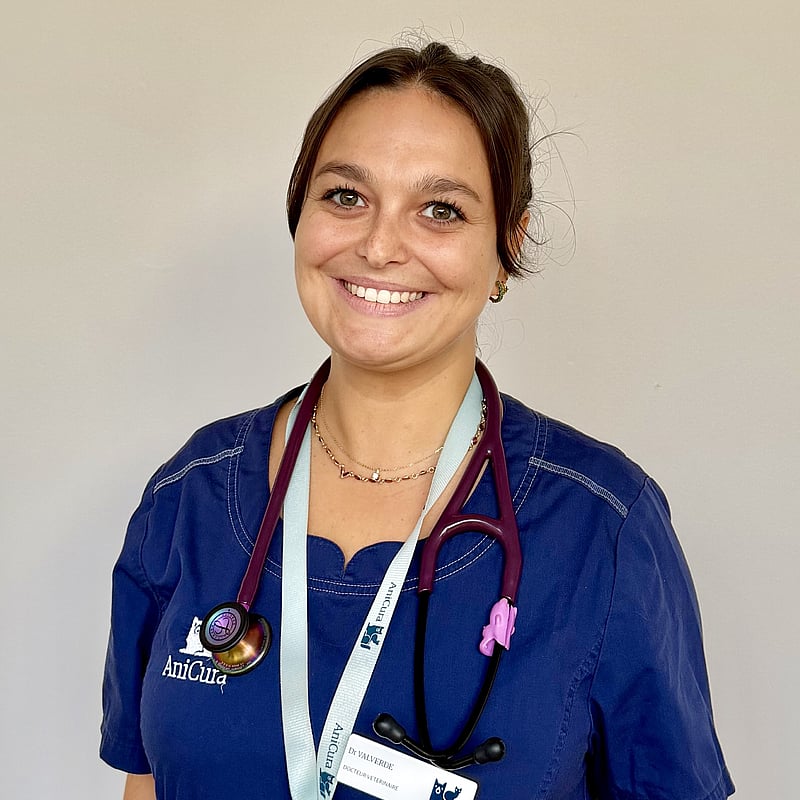 Photo de Dr. Vet. Valverde, Urgences