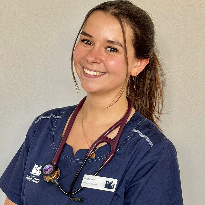 Photo de Dr. Vet. Brulard, Urgences