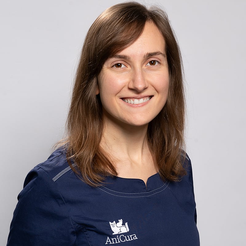 Photo de Dr. Vet. Avril, Clinicienne Du Service De Neurologie