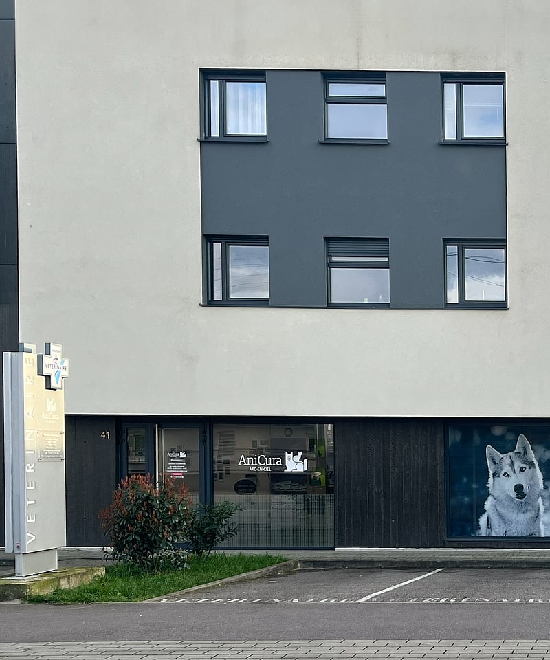 Un immeuble avec un chien à la fenêtre.