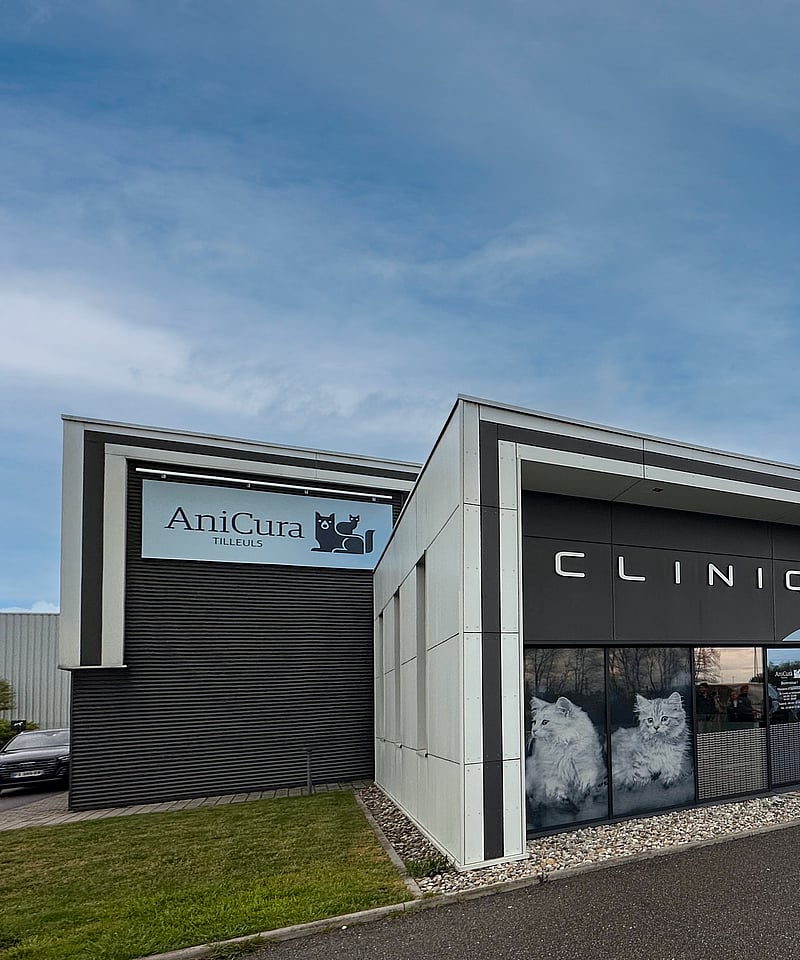Clinique vétérinaire des Tilleuls à Hoerdt (près de Strasbourg)