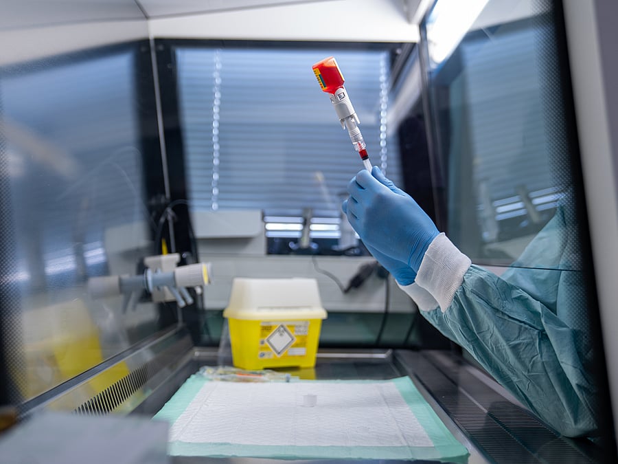 service d'oncologie vétérinaire AniCura TRIOVet à Rennes