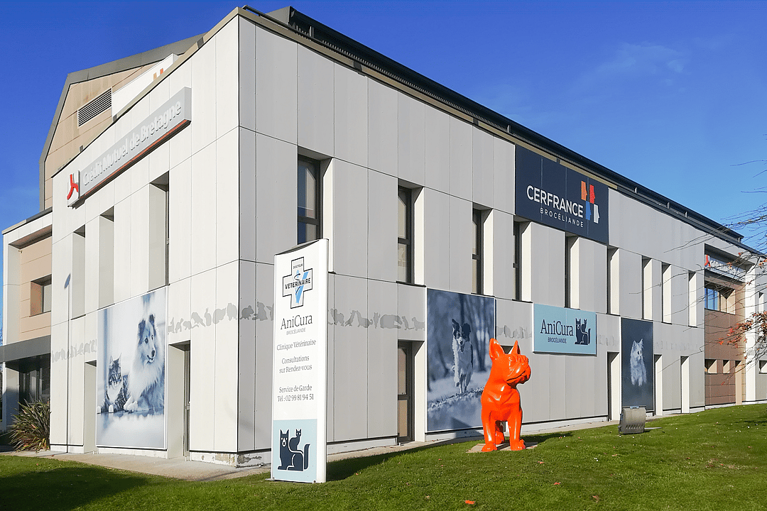 Clinique vétérinaire Brocéliande à Saint Malo