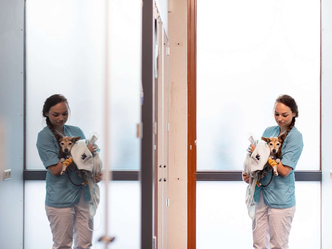 Nurse carry dog mirror