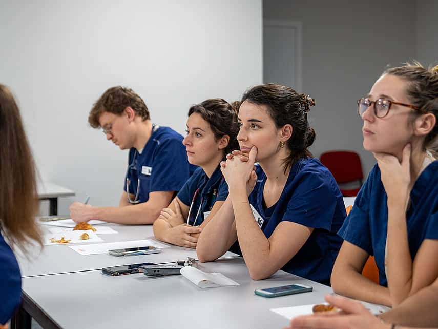 Formation vétérinaire au sein du CHV AniCura Nordvet à la Madeleine près de Lille