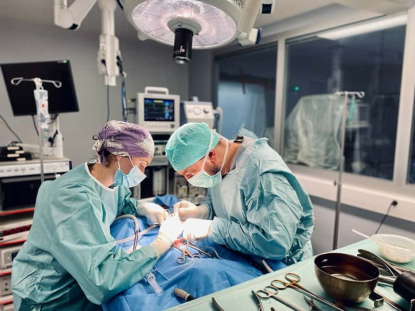 Service de chirurgie à la clinique vétérinaire AniCura Zebrasoma à strasbourg