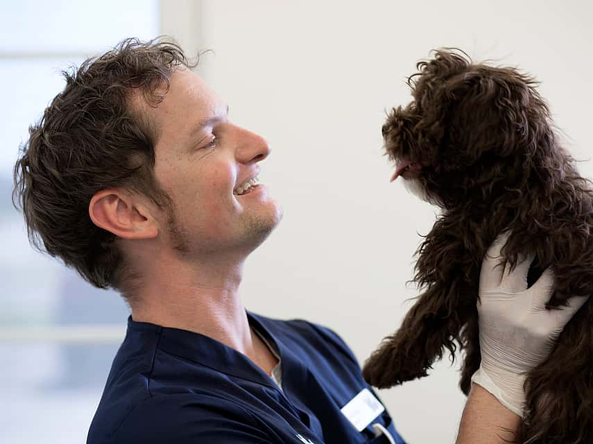 Souffle cardiaque chez le chien