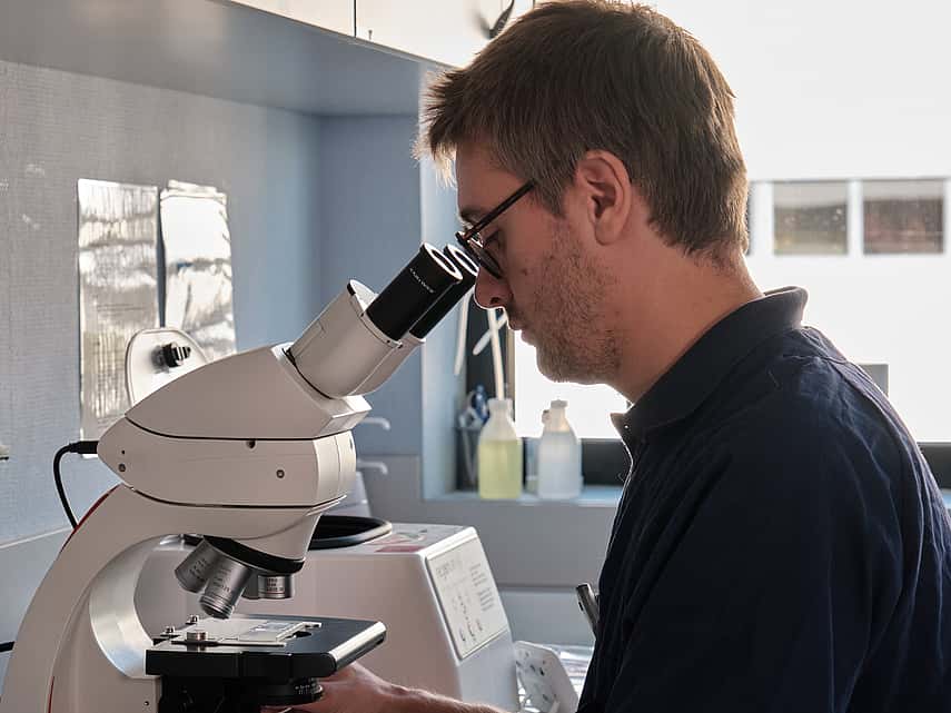 Service de neurologie vétérinaire clinique vétérinaire AniCura TRIOVet