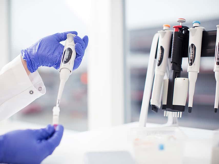 Service de laboratoire d'analyse médicale de la clinique AniCura Vet24 située à Marcq en Baroeul