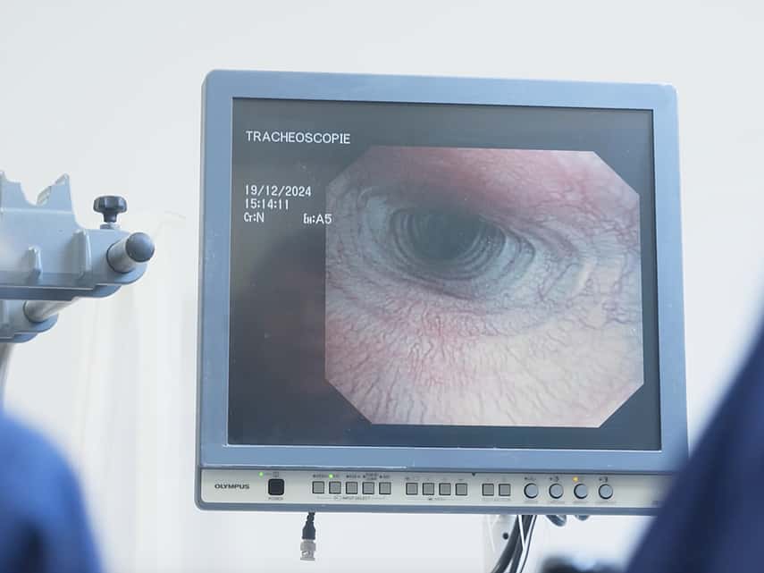 Service de médecine interne de la clinique AniCura Vet24 situé à marcq en baroeul près de Lille