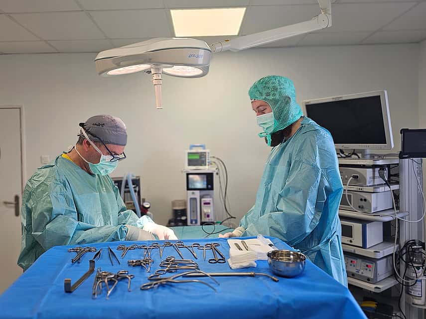 Le service de chirurgie vétérinaire de la clinique AniCura LorraineVet situé à Ludres près de Nancy